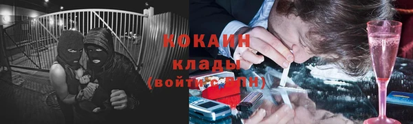 ECSTASY Алзамай
