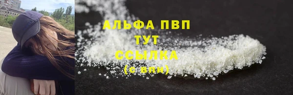 ECSTASY Алзамай