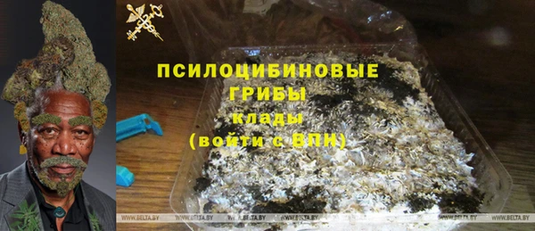 гидра Алексеевка