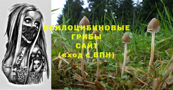 ECSTASY Алзамай