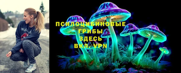 ECSTASY Алзамай