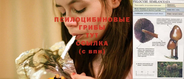 круглые Абаза